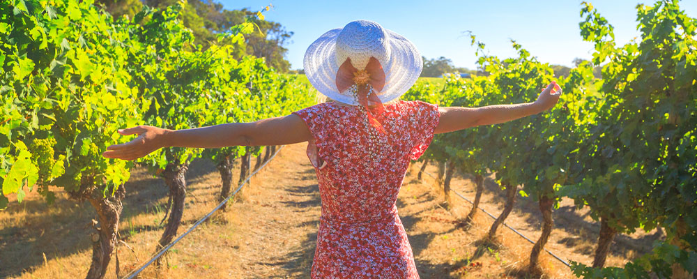 Margaret River vineyard