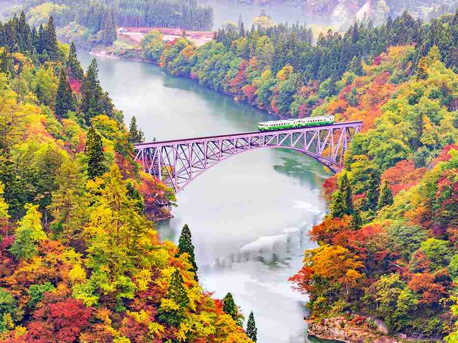 A local train going through amazing sights in Japan